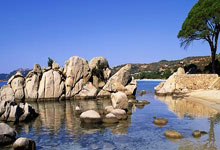 热刺主场大胜伯恩利，球队表现坚挺雄心壮志